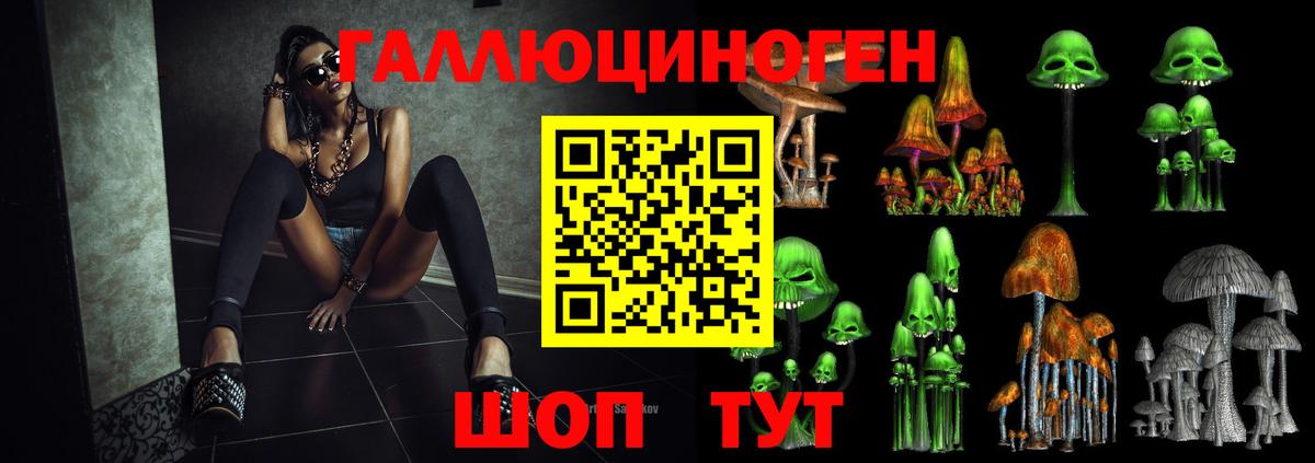 Борисоглебск  Псилоцибиновые грибы прущие грибы  Галлюциногенные грибы Psilocybine cubensis  Вход с VPN 